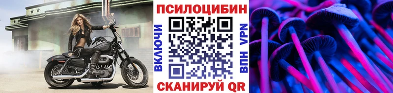 Галлюциногенные грибы Psilocybe  Петропавловск-Камчатский 