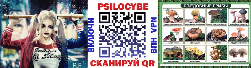 Галлюциногенные грибы Psilocybine cubensis Петропавловск-Камчатский