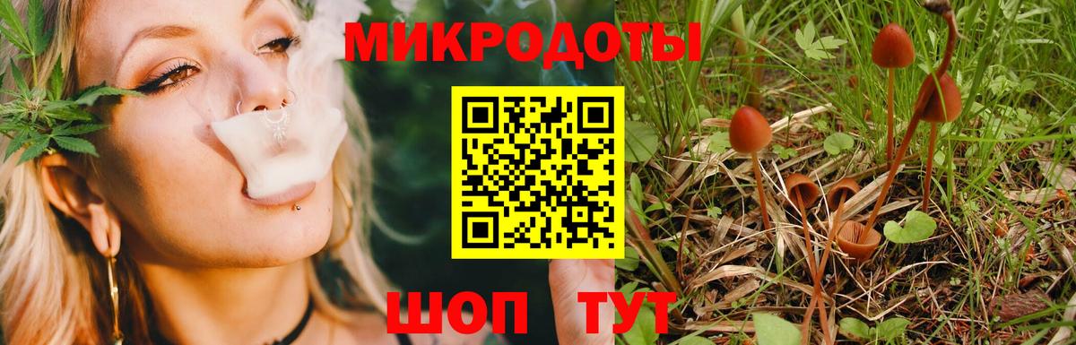 Петропавловск-Камчатский  Псилоцибиновые грибы мухоморы  Вход с VPN 